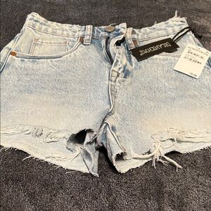 Blank NYC Light Wash Jean Shorts